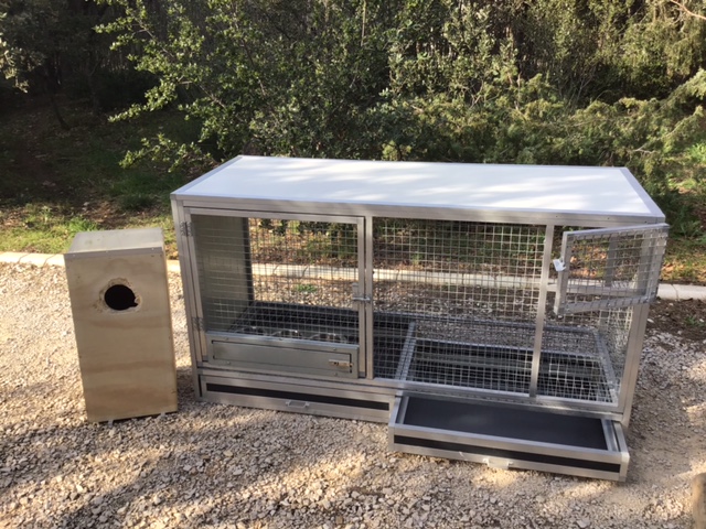 Box de reproduction pour gris du Gabon