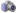 Pyrrhura molinae - conure de molina (conure Ã  joues vertes)

Jeunes 2023, EPP, sexage OK, IFAP OK