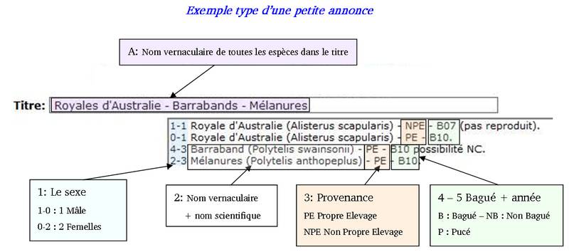 exemple type pa