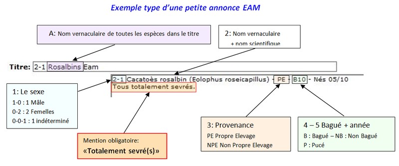 Exemple 3 pa