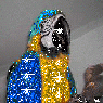Avatar du membre