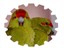 Avatar du membre