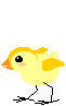 Avatar du membre