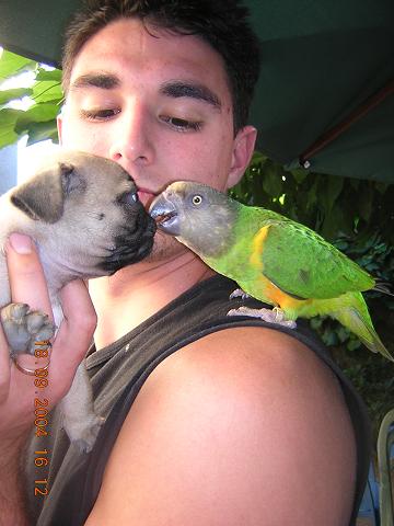 bisous2.JPG