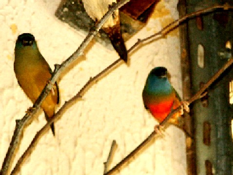 PICT0083.JPG