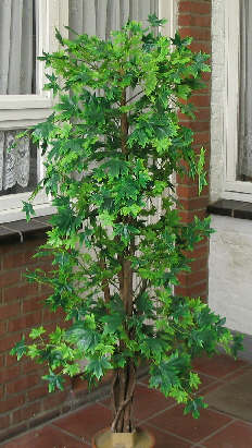 165_6589.JPG