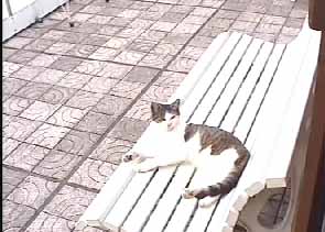 sur le banc.jpg