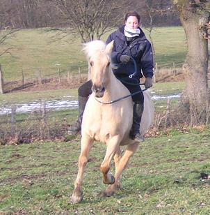 galop_tourner.JPG