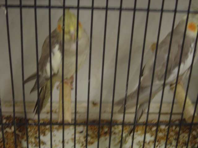 Dsc01551.jpg