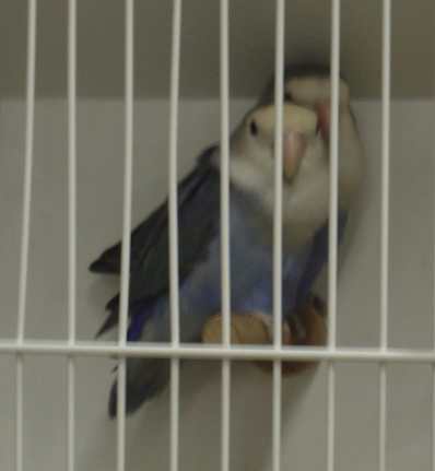Dsc01562.jpg