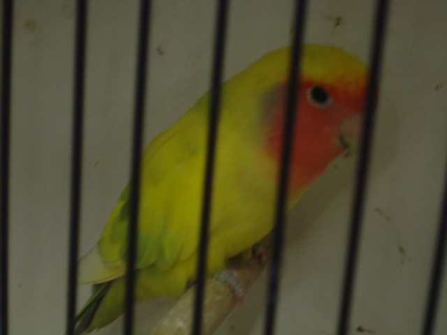 Dsc01567.jpg