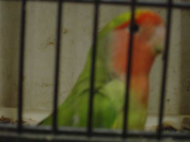 Dsc01566.jpg