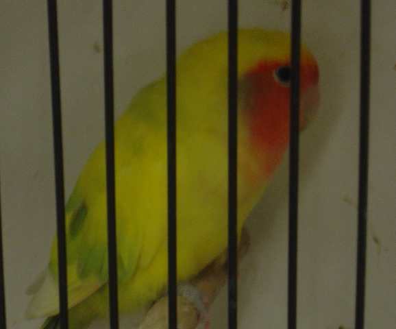 Dsc01565.jpg