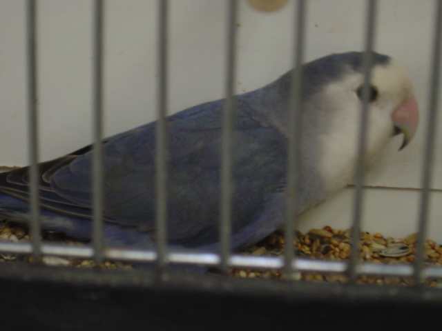 Dsc01575.jpg