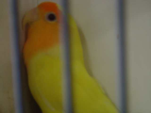 Dsc01573.jpg