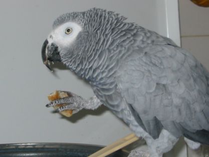 lorita casse.jpg