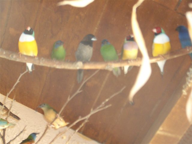 CIMG0312.jpg