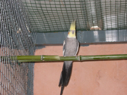 118-1893_IMG.JPG