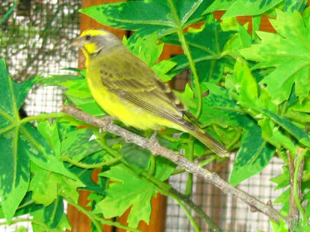 170_7014.JPG