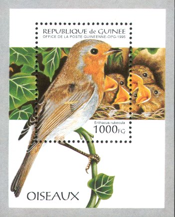 guinea310895b.jpg