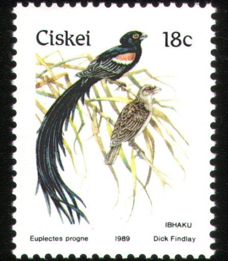 cis030789.jpg