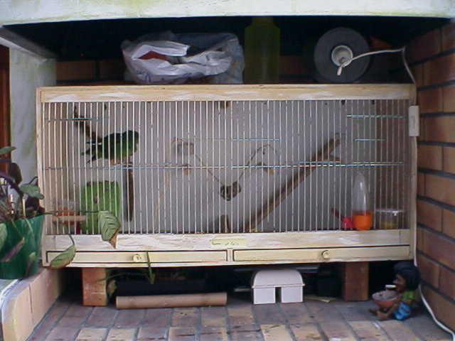 RIM00103.JPG