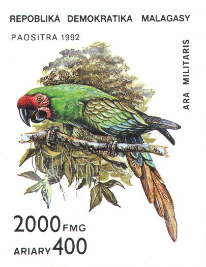 malg240293b.jpg