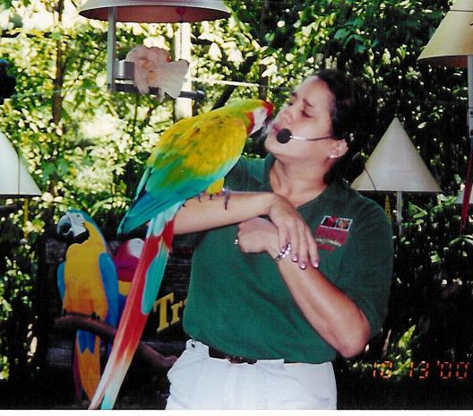 ara parrot jungle 007.jpg