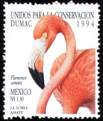 mex060594.jpg