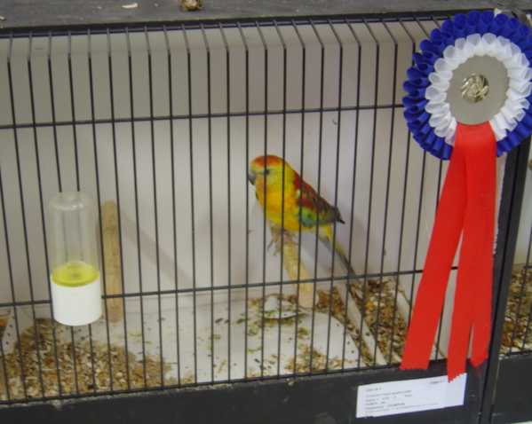 expo 14.jpg
