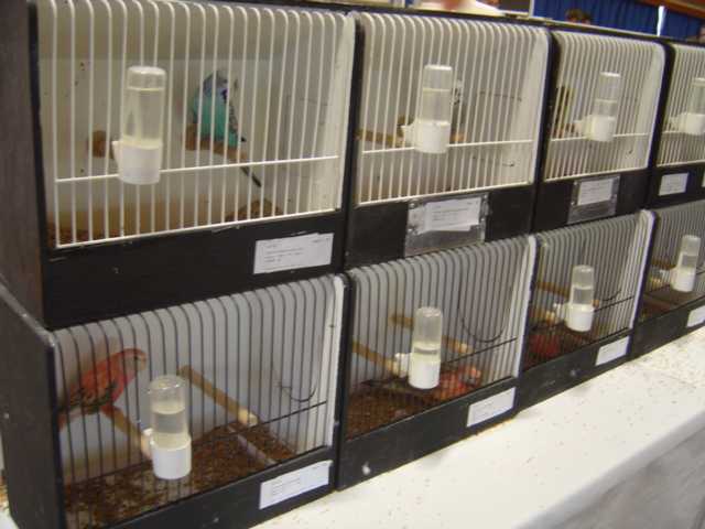 expo 15.jpg