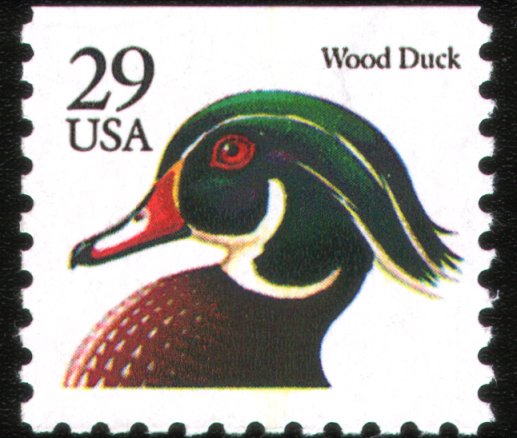usa120491.jpg