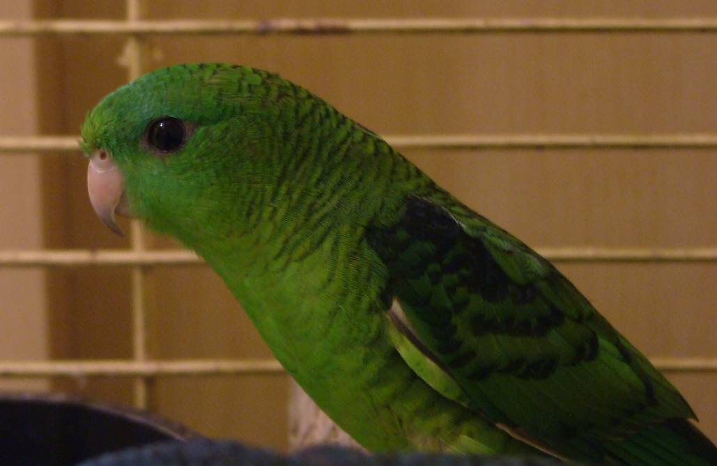 12102004 021.jpg