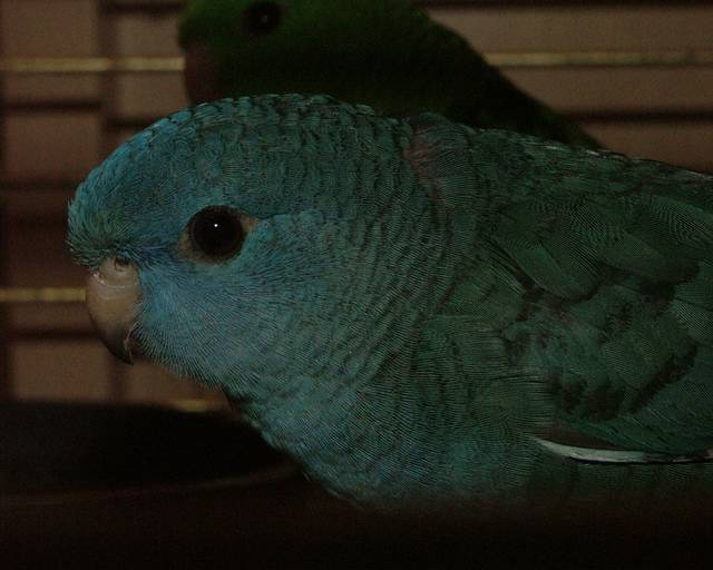 12102004 002.jpg
