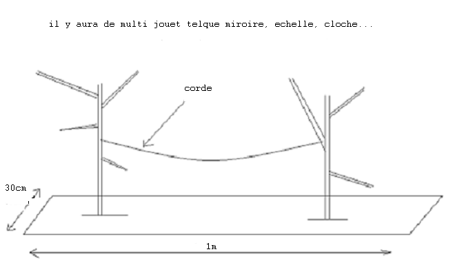 arbre.PNG