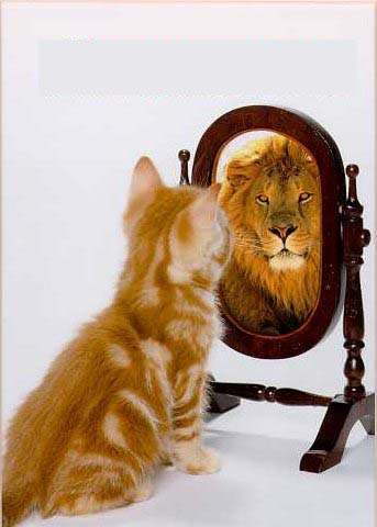 chat_lion.jpg