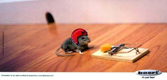 souris_fromage.jpg