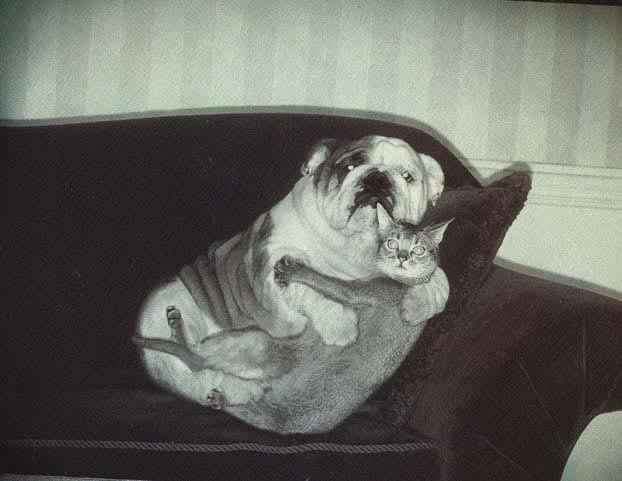 tendresse.jpg