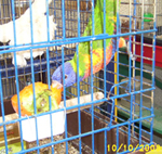 LORI 059.jpg
