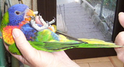 LORI 063.jpg