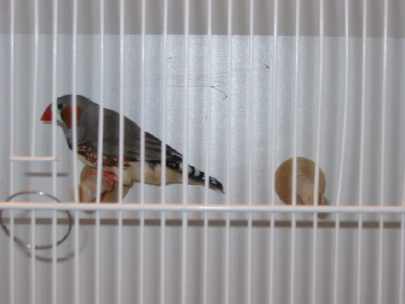 140-4079_IMG.JPG