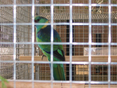 140-4092_IMG.JPG