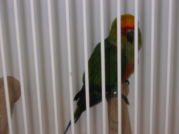 141-4122_IMG.JPG