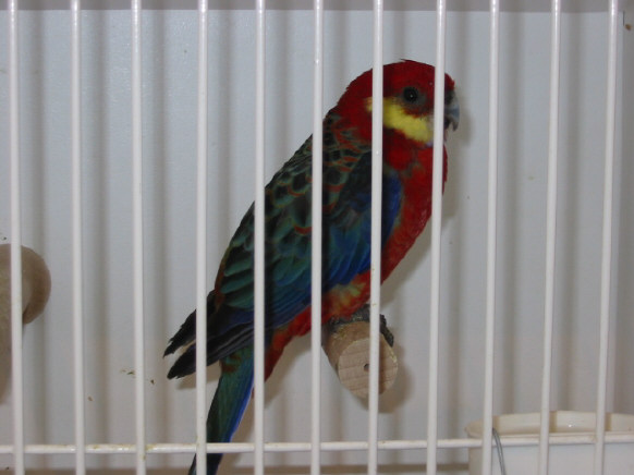141-4126_IMG.JPG