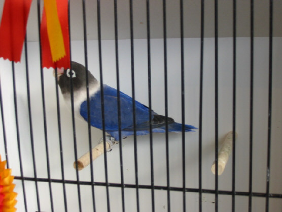 141-4131_IMG.JPG