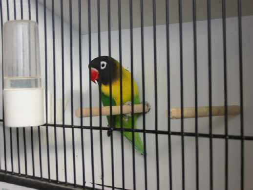 141-4132_IMG.JPG