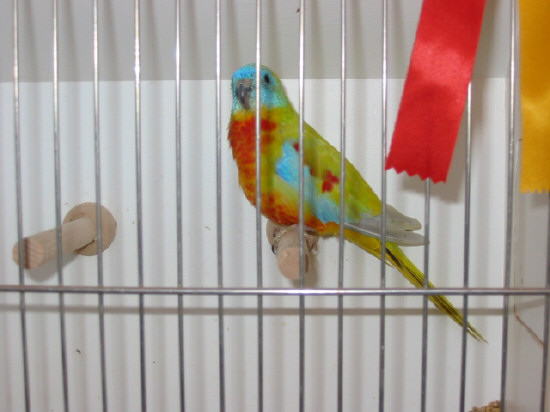 141-4143_IMG.JPG