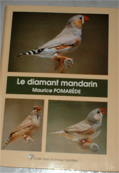mandarin3.jpg
