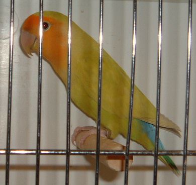 c12.jpg