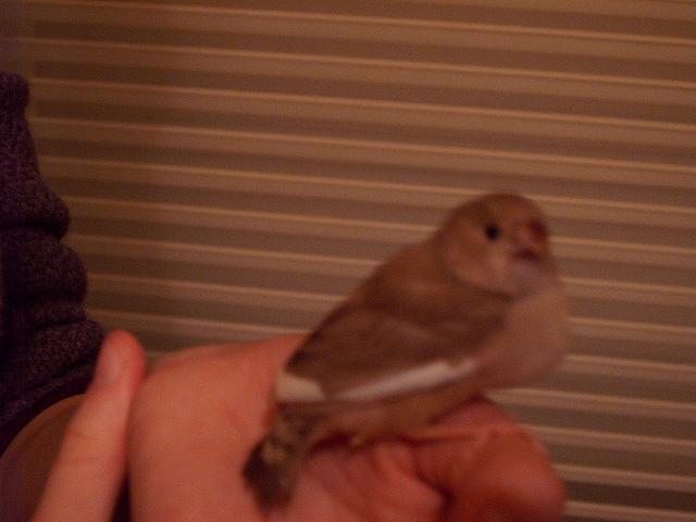 Photo 006.jpg